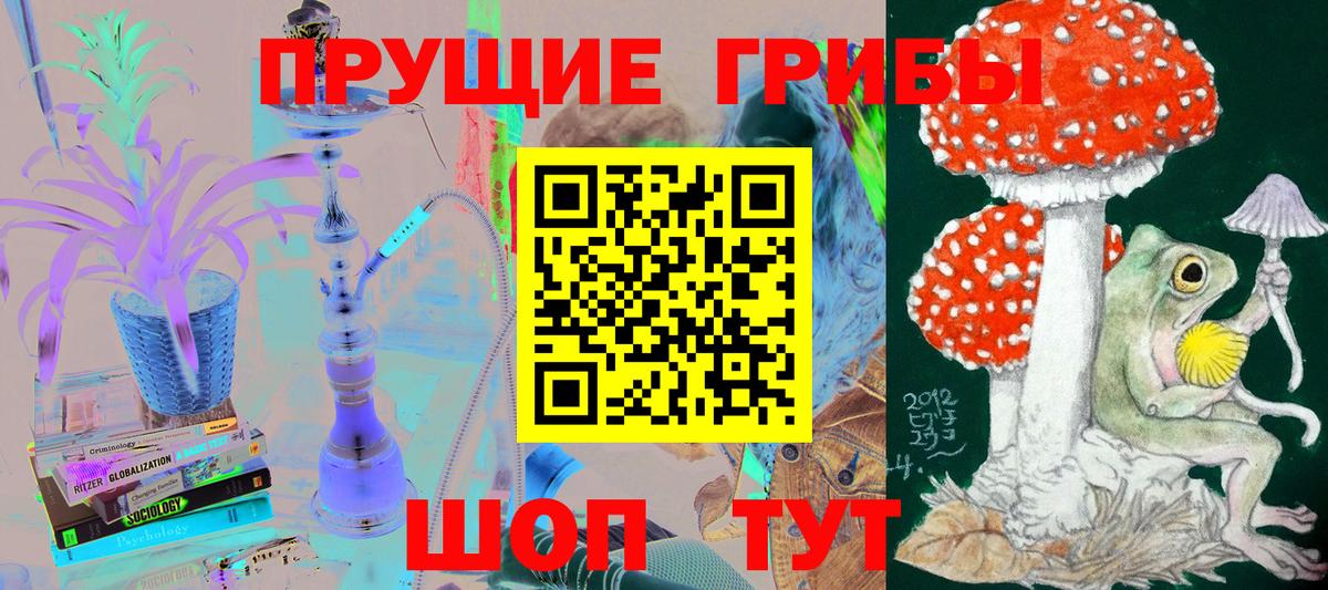 Солнечногорск  Галлюциногенные грибы GOLDEN TEACHER  Вход с VPN 